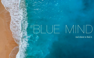 Blue Mind Wellness: A Mantra for Land, Air and Sea